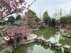 -洪湖家庭农场·团建·露营·会议