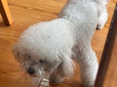 -秀男家米肠汤饭