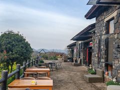 -桑洲油菜花景区