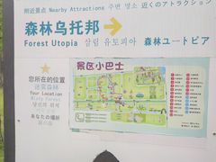 -黄海国家森林公园