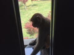 -苏州环秀晓筑养生度假村