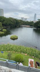 -小鲤鱼寻宝记·AR亲子户外剧本闯关(广州东山湖公园店)