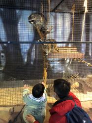 点击看大图 -酷嗒动物文化乐园(cutezoo西溪乐天城店)