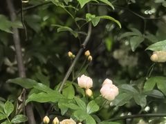 -斯多格书乡(北京大学畅春园店)