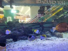 -凯德广场(学府店)