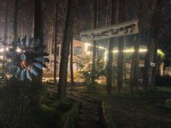 -林间山庄
