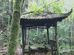 -井冈山风景名胜区