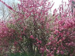 -盛宝粥店(建设街店)