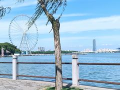 -无锡蠡湖国家湿地公园-蠡园