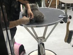 -宠物世家(仲盛世界商城店)