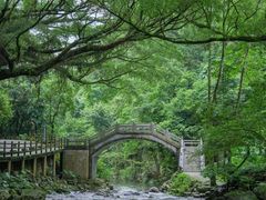 -广州市石门国家森林公园
