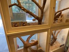 -龙猫仔乐园(惠福东路店)