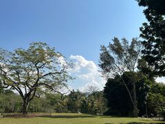 -中国科学院西双版纳热带植物园