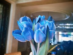 -双季花艺园艺市场(浦东店)
