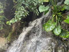 -仙岳公园