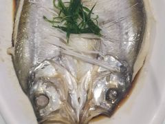 清蒸丹江口大白刁-雅和生态渔庄·宜城锅巴饭(龙灵山公园店)