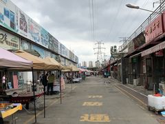 -中环花鸟鱼虫市场