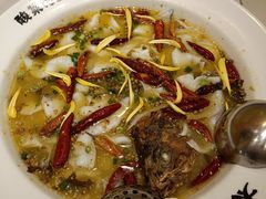 老坛子酸菜鱼-太二酸菜鱼(广州IFC国金天地店)