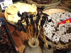-昆虫窝子·特色云南菜(拓东路总店)
