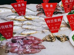 -宝燕壹号(徐汇店)