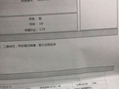 -美联众合动物医院·24h转诊中心
