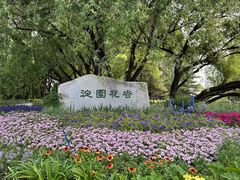 -海淀公园