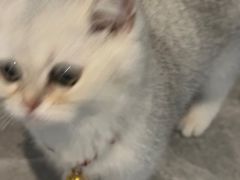 -英皇UA电影城(瑞虹天地月亮湾)