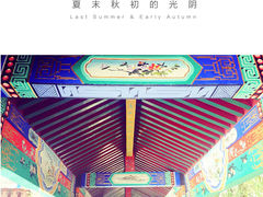 微山湖湿地红荷旅游风景区-微山湖红荷湿地景区