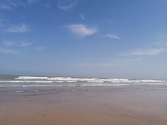 -日照海滨国家森林公园