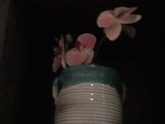 -春天来了(印象新天地店)