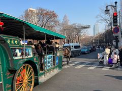 -天津五大道文化旅游区