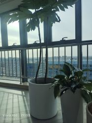 -HEYAN荷妍专业脱毛连锁机构