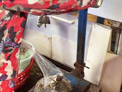 -马王堆海鲜水产市场