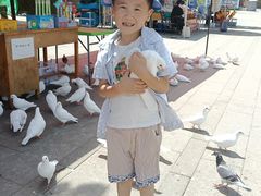 -水上乐园·欢乐世界