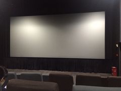 iphone_upload_pic-金逸影城(明发IMAX店)