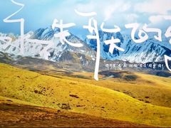 -SFC上影影城(港汇永华IMAX激光店)