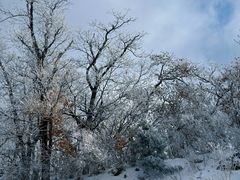 -长春莲花山滑雪场