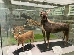 -北京中医药大学-中医药博物馆