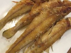 -御唐府海珊瑚主题餐厅