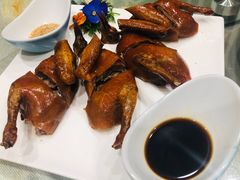 -食神鱼头佛跳墙(百子湾旗舰店)