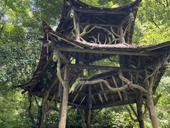-青城山