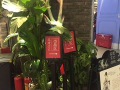 -茶理宜世(东方宝泰店)