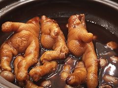 -千灯盛汇·头牌粤菜(致越优城店)