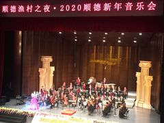 -顺德演艺中心大剧院