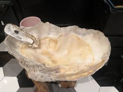 -蚝大仙横琴生蚝火锅(中央汇店)