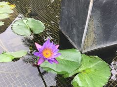 -台山颐和温泉城