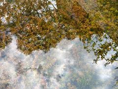 -靖西鹅泉风景区