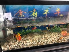 -小陆莲花蟹园农家乐(莲花岛店)