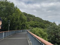 -金鸡山公园