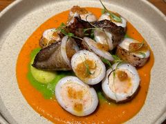 酿馅儿小鱿鱼-OTIUM • 柴屿麦(亮马桥店)
